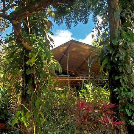 Cascada Verde Hostel Uvita Bagian luar foto