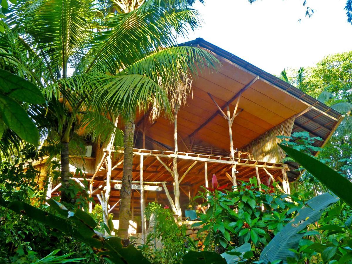 Cascada Verde Hostel Uvita Bagian luar foto