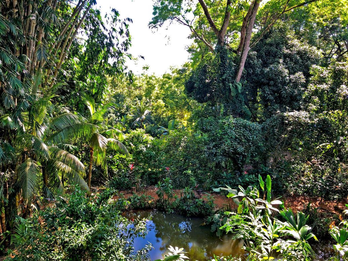 Cascada Verde Hostel Uvita Bagian luar foto