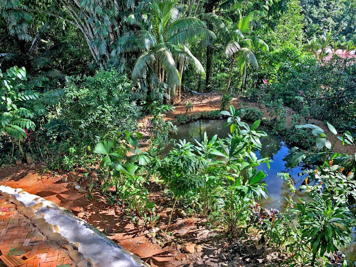 Cascada Verde Hostel Uvita Bagian luar foto