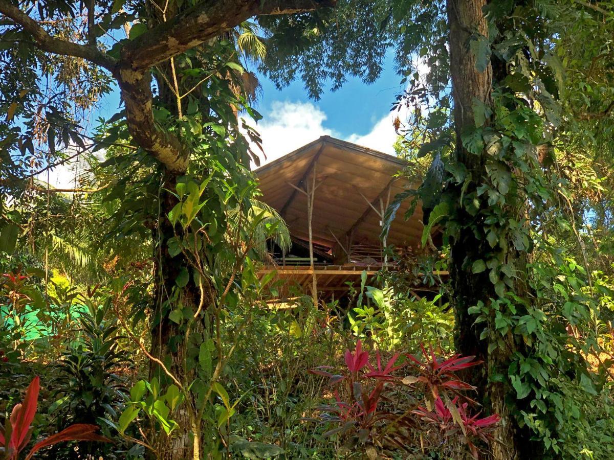 Cascada Verde Hostel Uvita Bagian luar foto